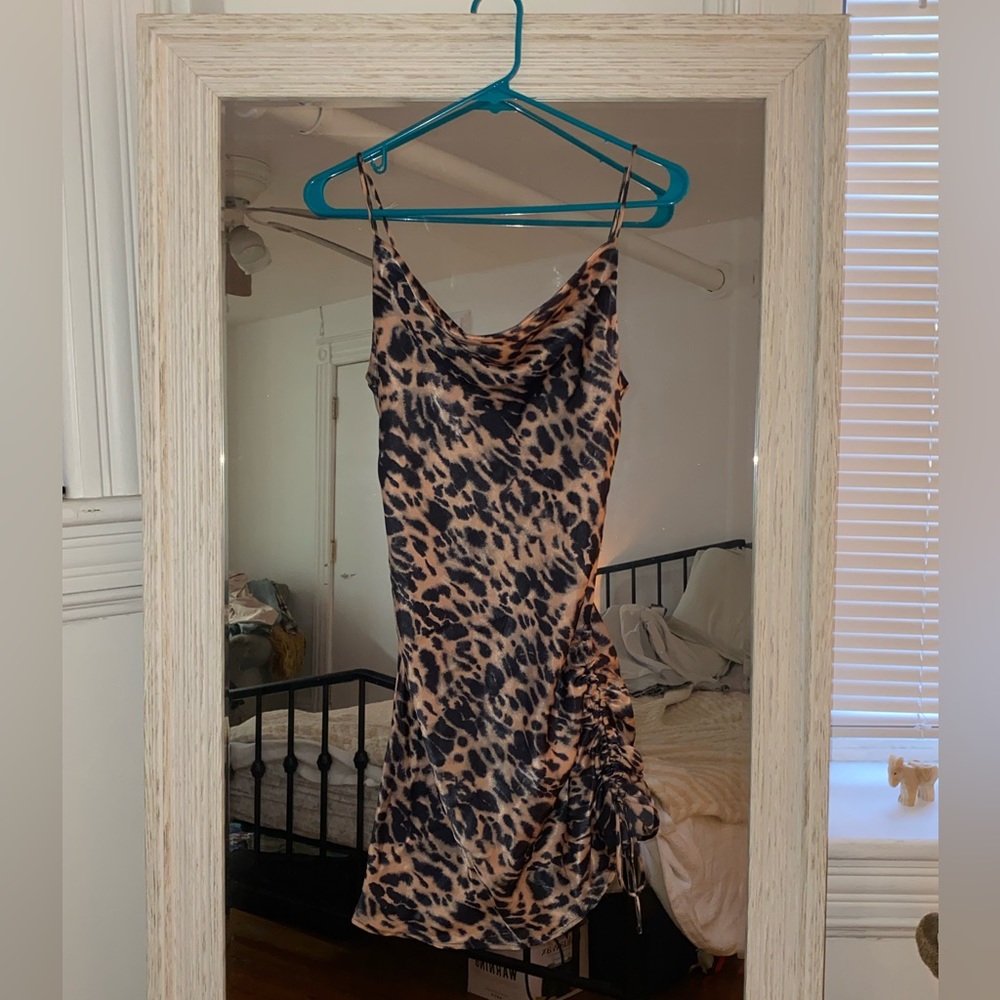 Scrunch is topshop leopard dress